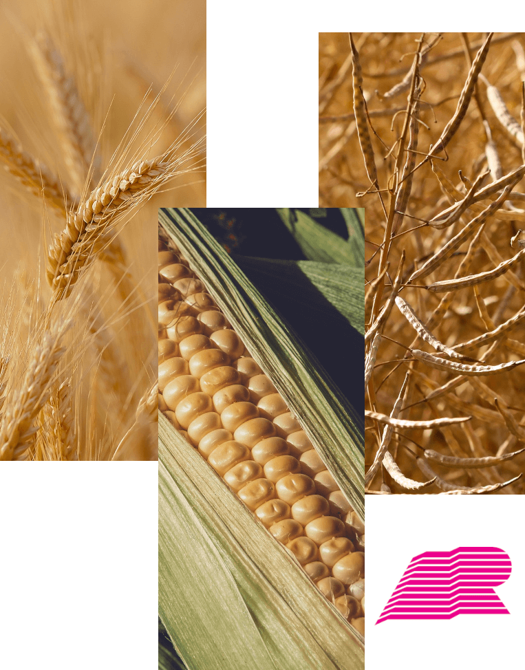 ARIMEX